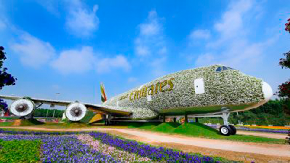 O avião mais lindo do mundo - Cooperflora